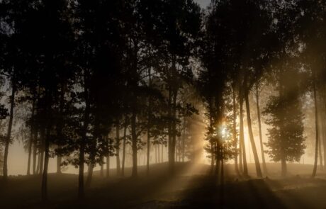 Imgc20250927 082933 0266 hdr 2 4000 60