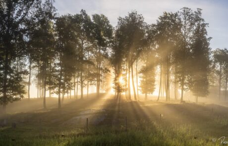 Imgc20250927 082941 0270 hdr pano 4000 60