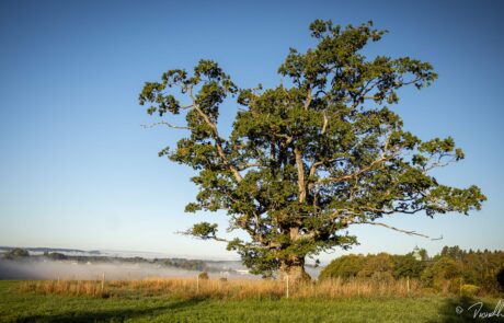 Imgc20250927 084001 0355 4000 60